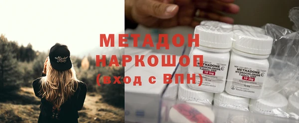 прущие грибы Балахна