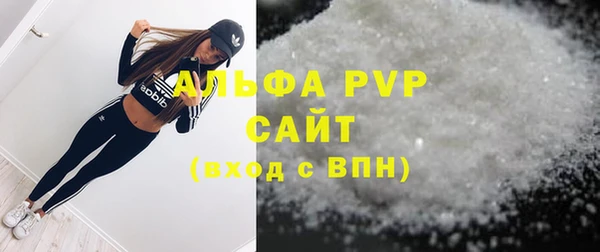 прущие грибы Балахна