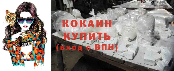 прущие грибы Балахна