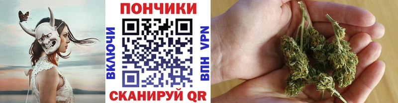 Бошки Шишки марихуана  Юхнов 